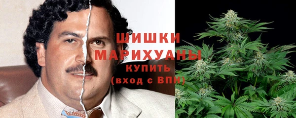 меф Ельня