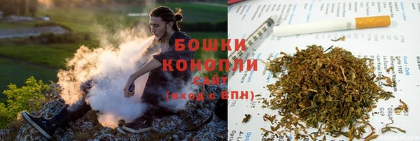 меф Ельня