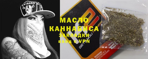 меф Ельня