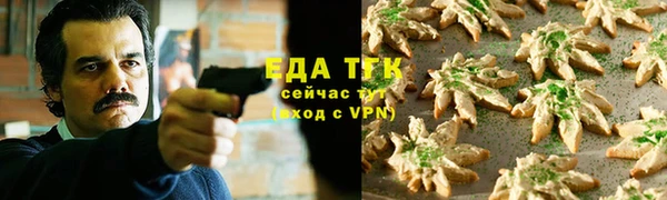 меф Ельня