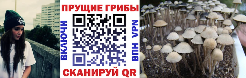 KRAKEN ONION  Спас-Деменск  Галлюциногенные грибы Magic Shrooms 